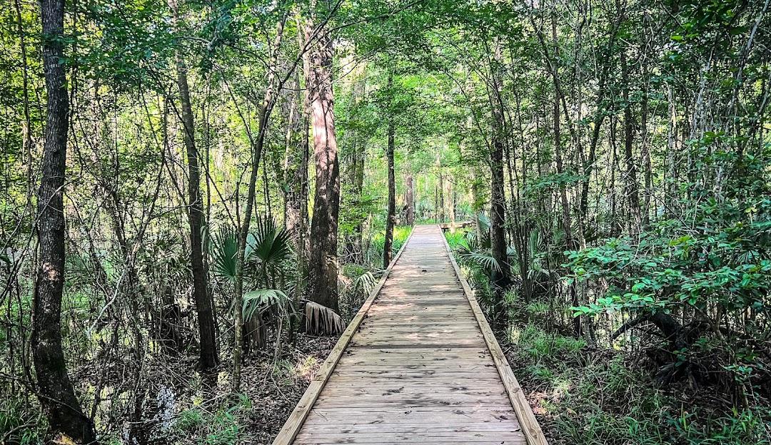 Kingwood_Nature