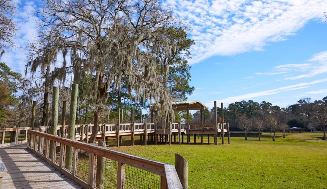 Tomball - Activities